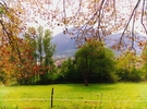 Beautiful terrain - Near Grenoble €35