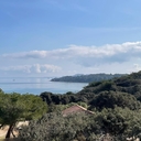 Aude C.